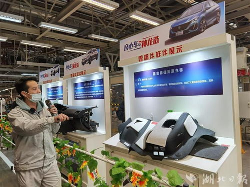神龙汽车全面电动化转型 合资车企的新里程碑与汽车用品的未来展望